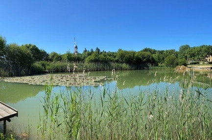 Camping Lestaubière