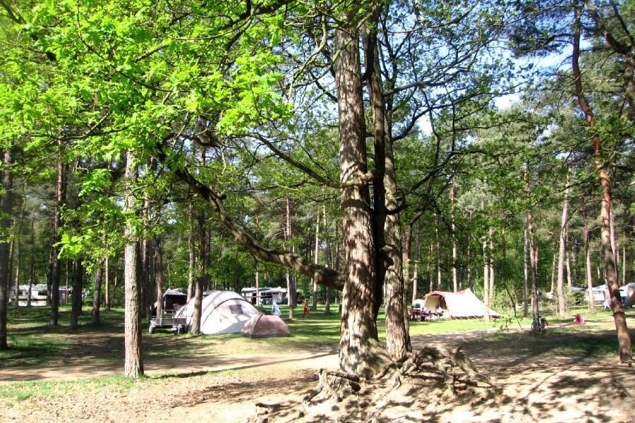 Bospark Langeloërduinen