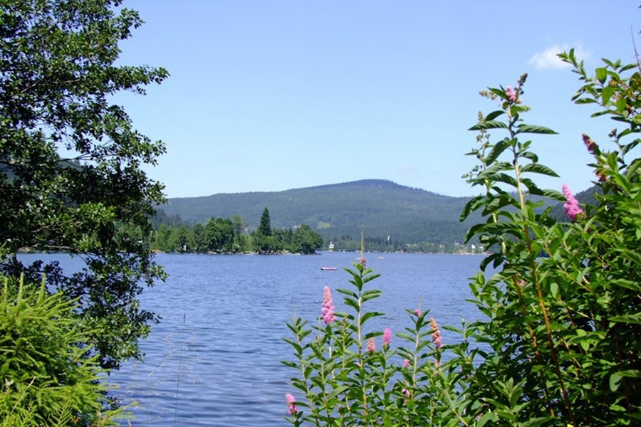 Camping Verte Vallée