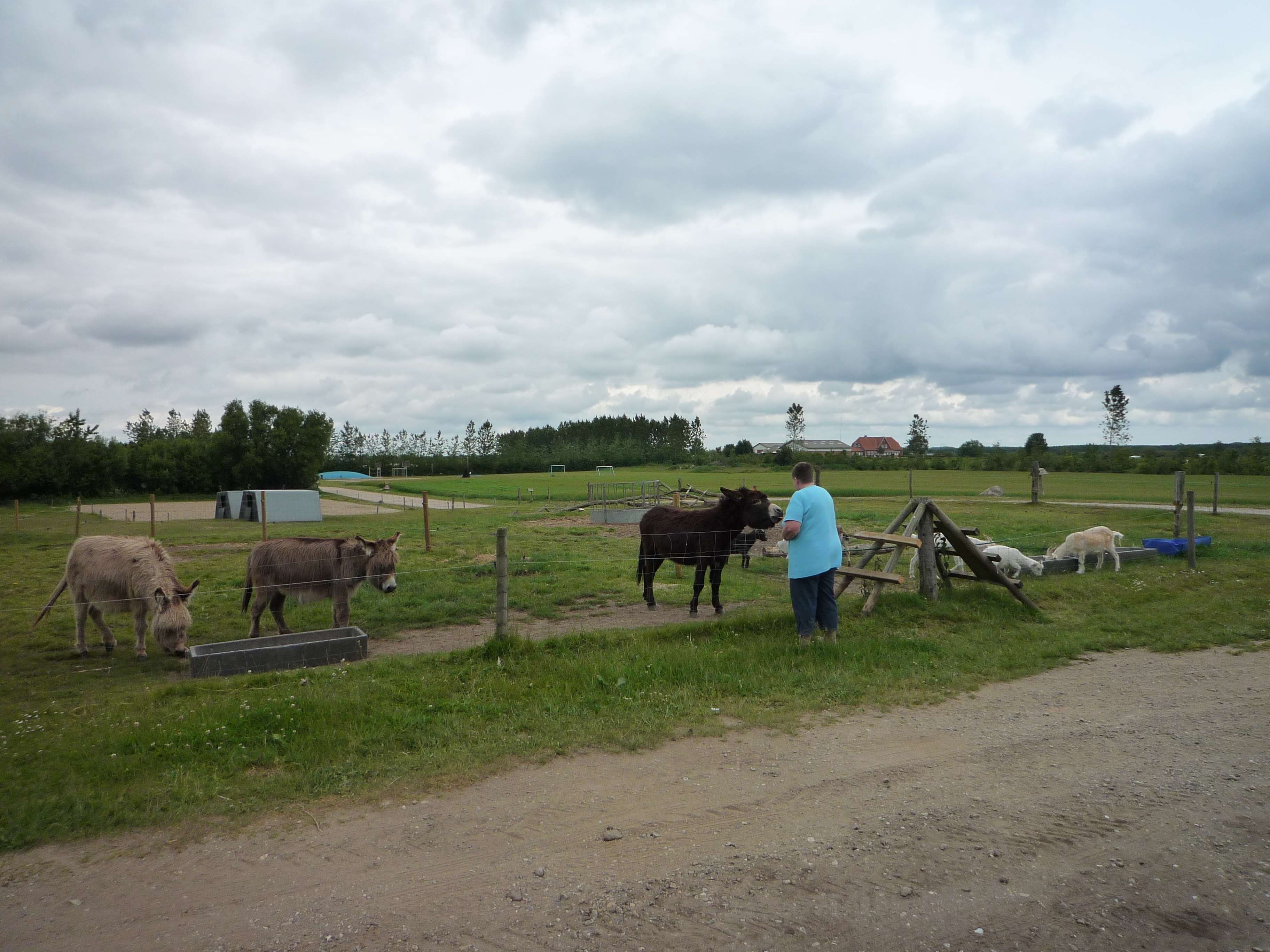 Uge Lystfiskeri og Camping
