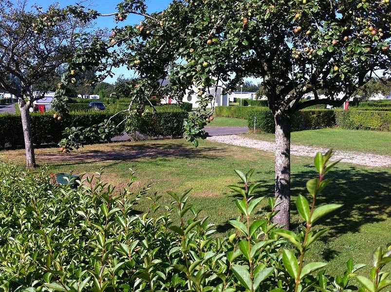 Camping Seasonova Etennemare