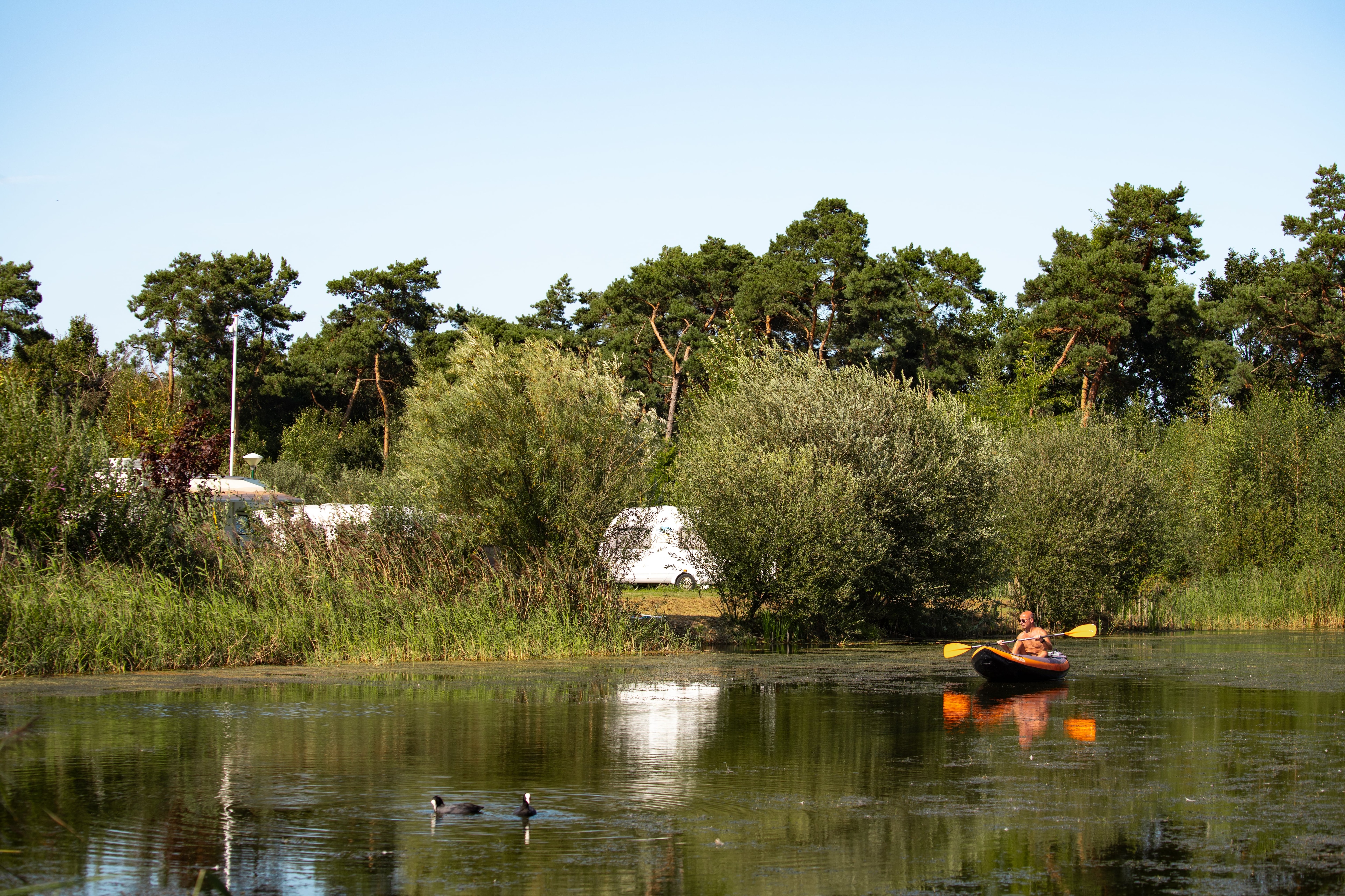ParcCamping de Witte Vennen