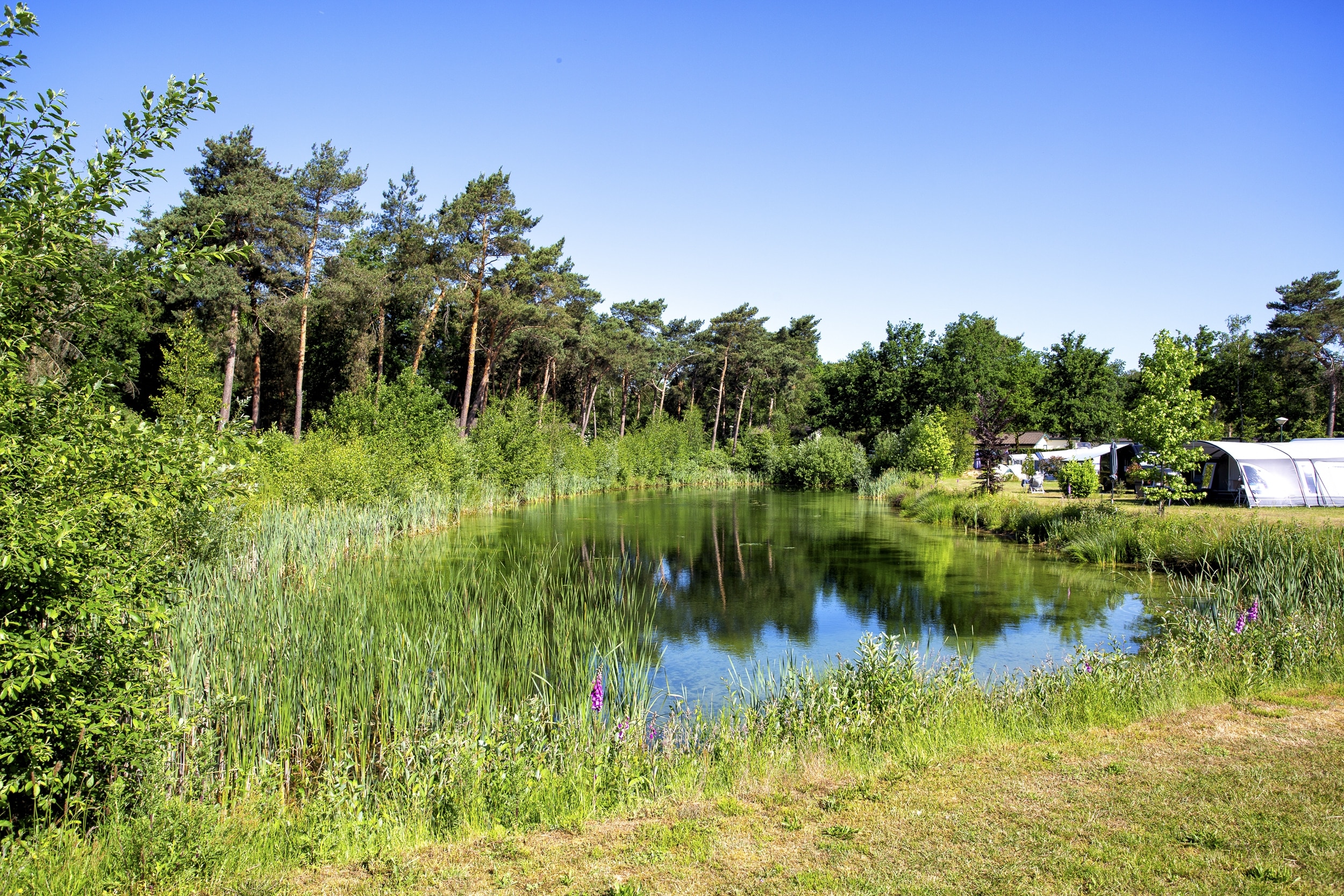 ParcCamping de Witte Vennen