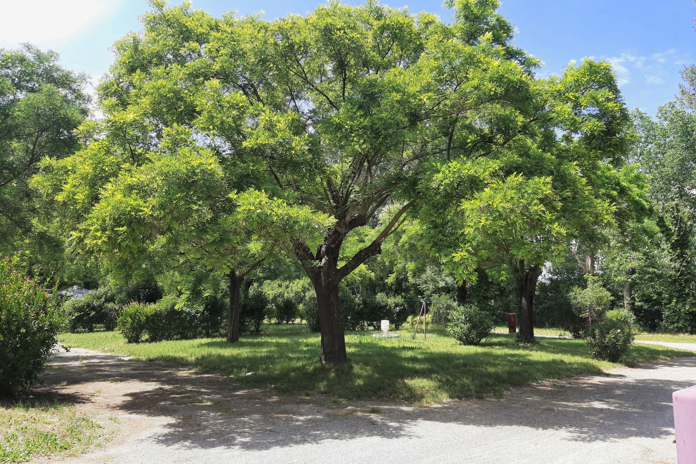 Camping Le Garanel