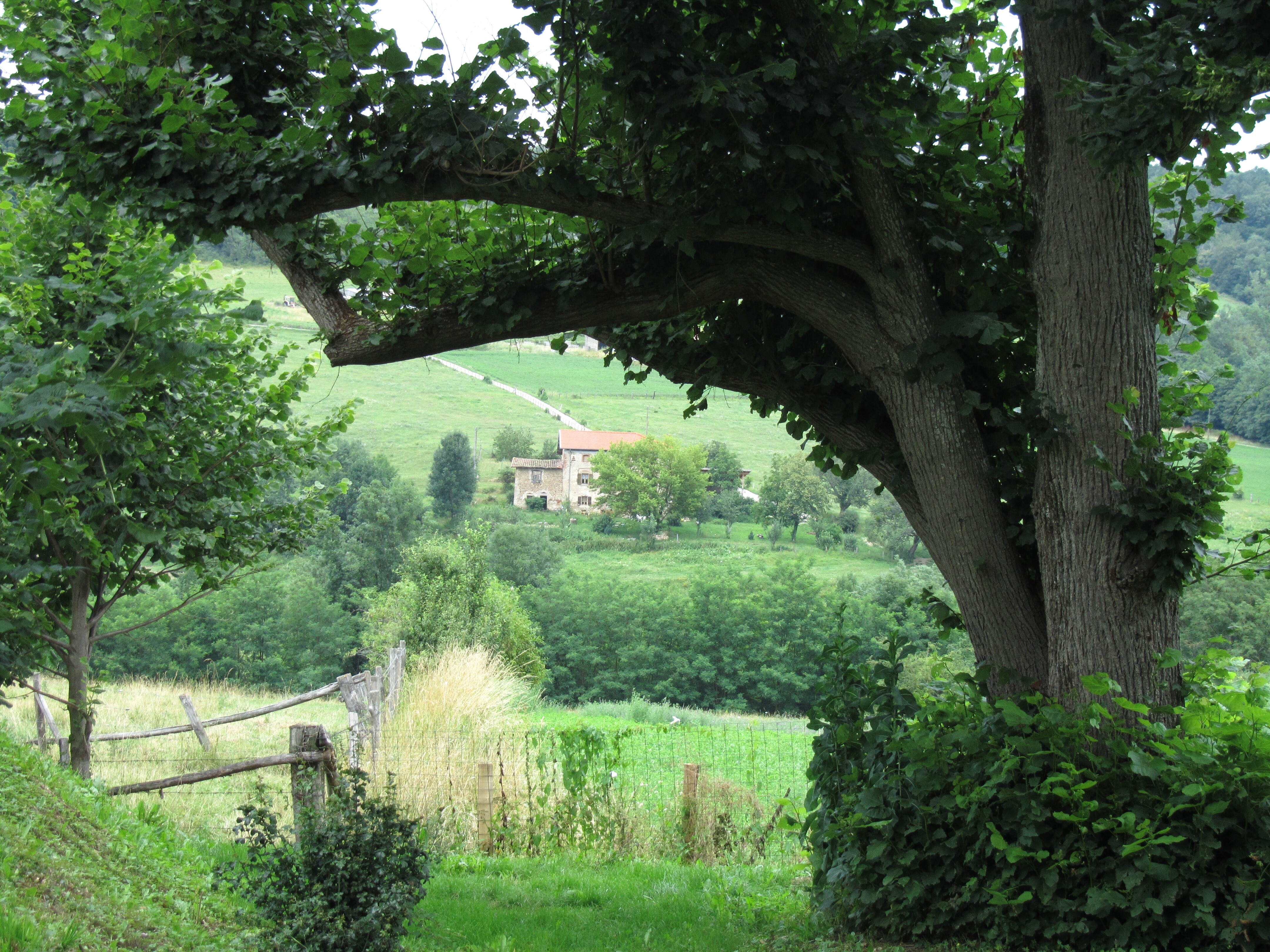 Camping Le Grand Cerf