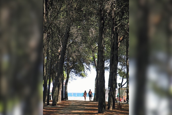 Camping-Village Pineta di Sibari
