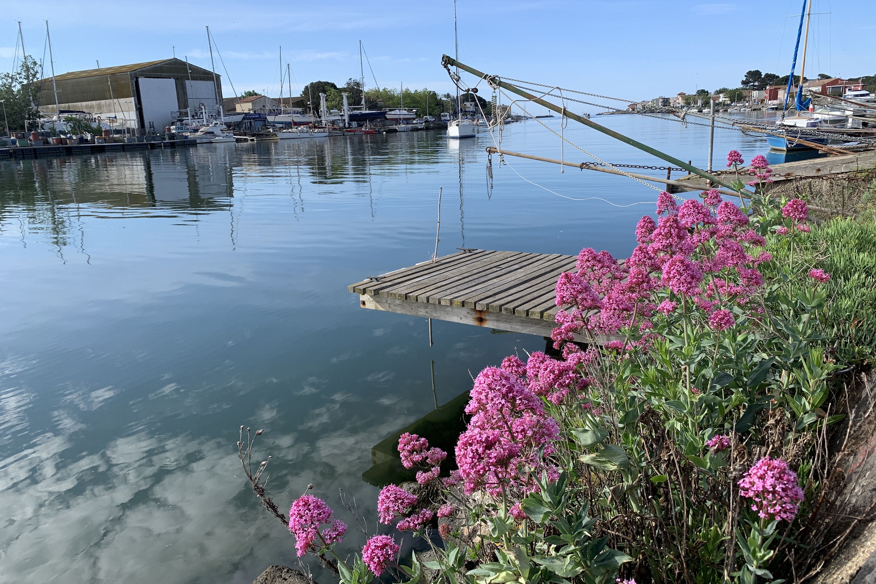 Camping La Tamarissière