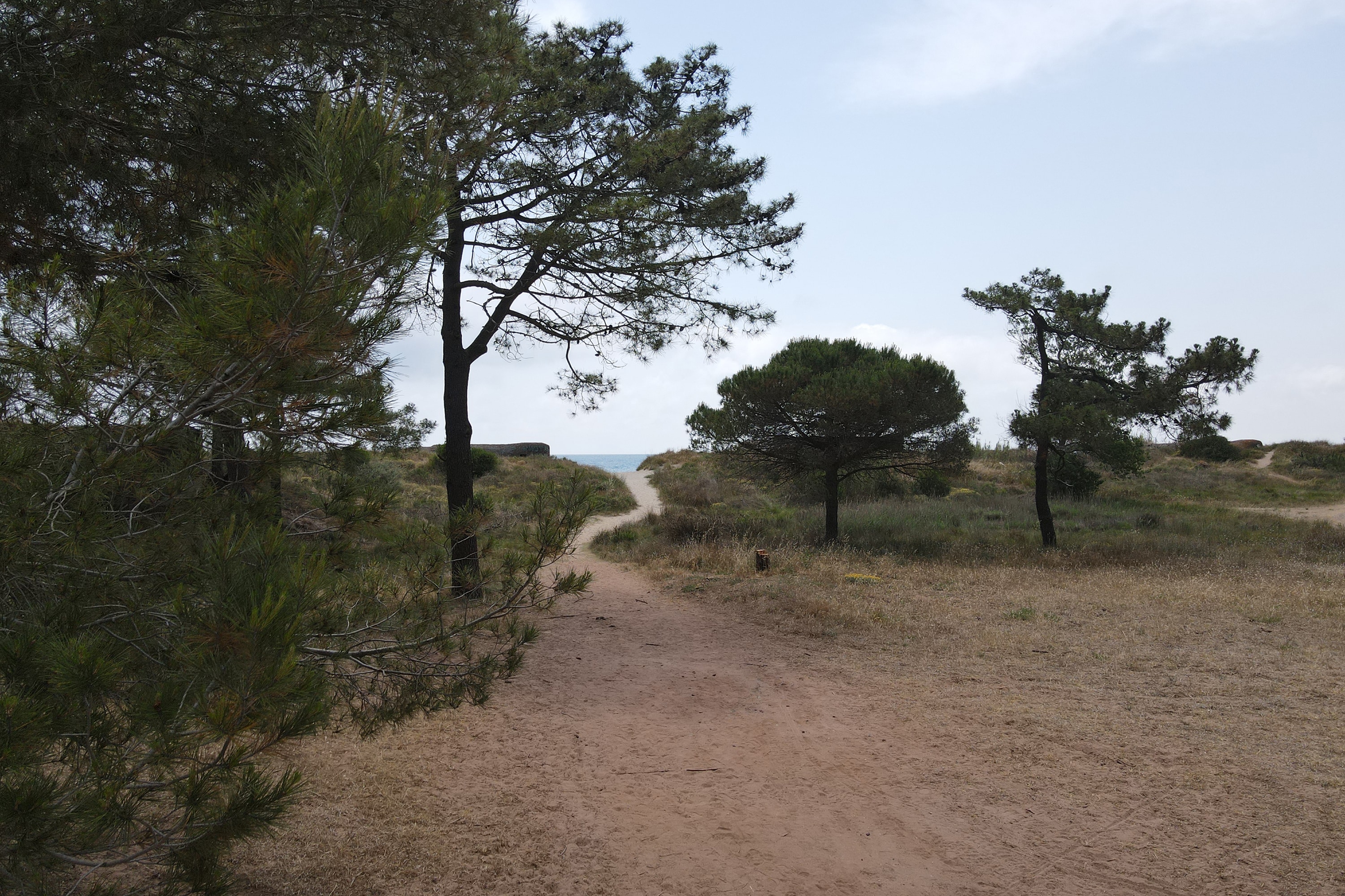 Camping La Tamarissière