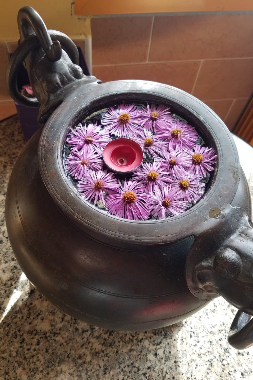 Camping Ecochiocciola