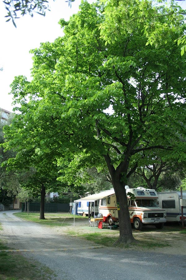 Camping Delfino