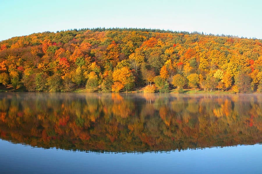 Flower Camping Le Lac de Saint-Point