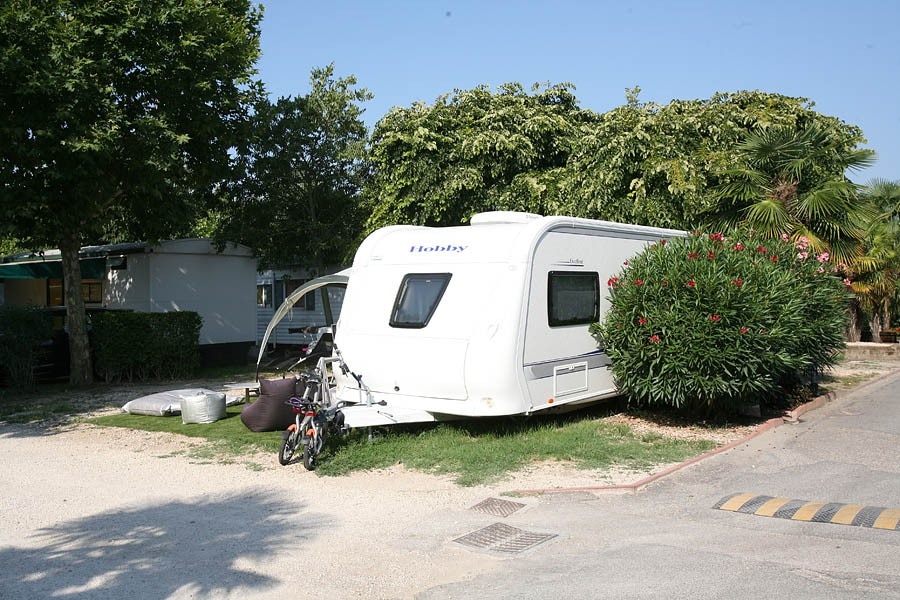 Camping Butterfly