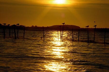 Natur Camping Usedom