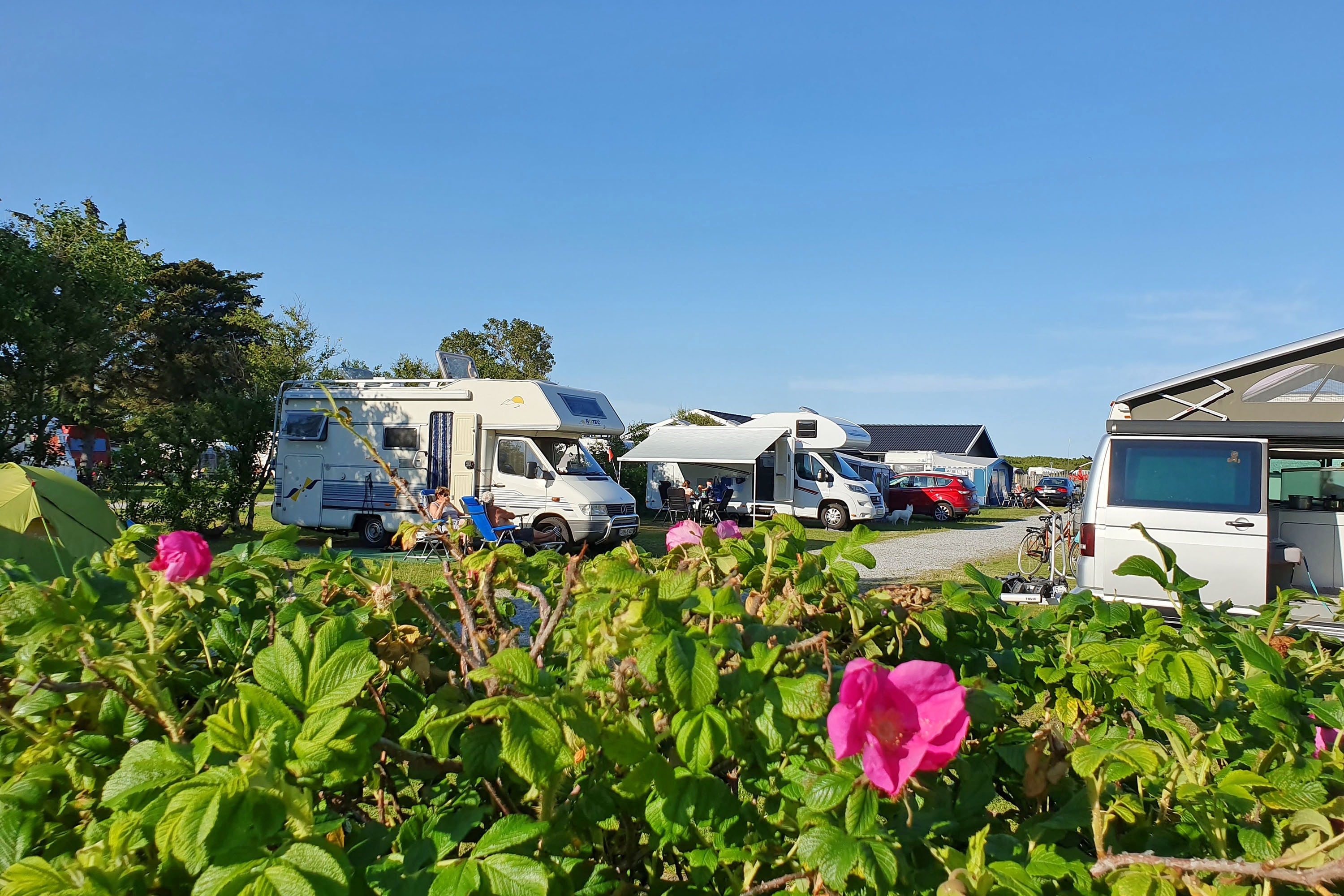 First Camp Grenen Strand