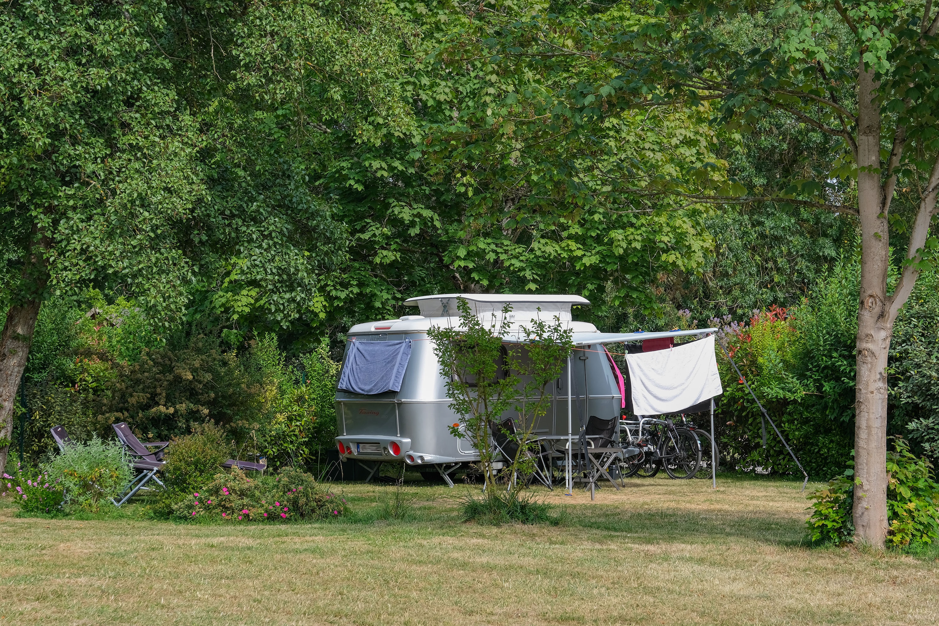 Flower Camping Du Port Caroline