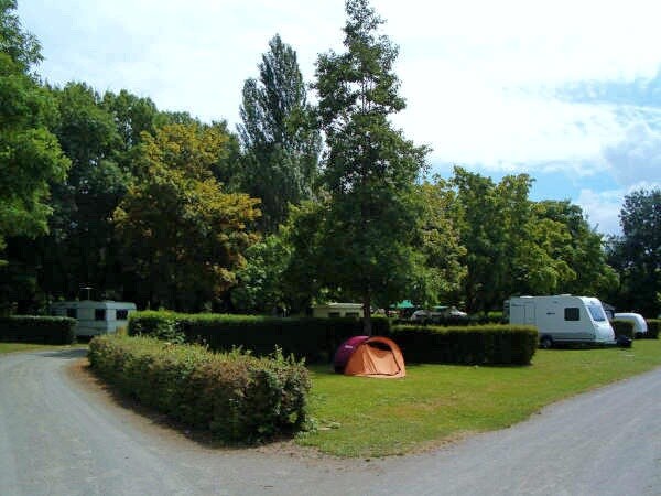 Flower Camping Du Port Caroline