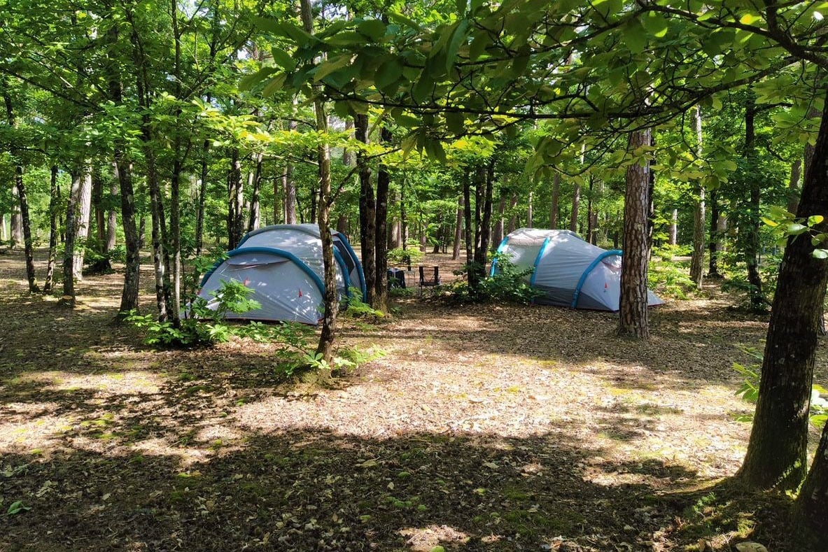 Camping Les Pins Onlycamp