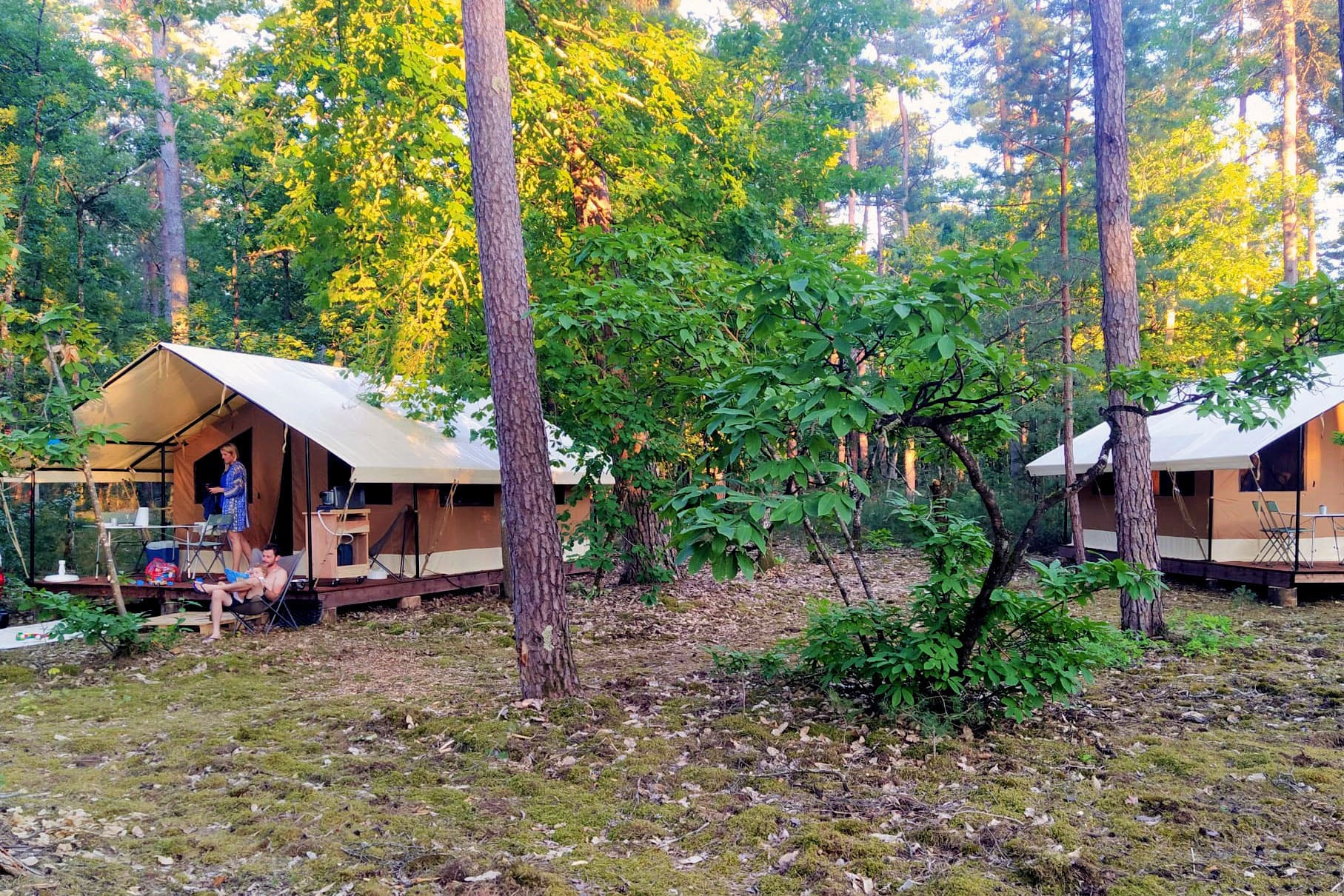 Camping Les Pins Onlycamp
