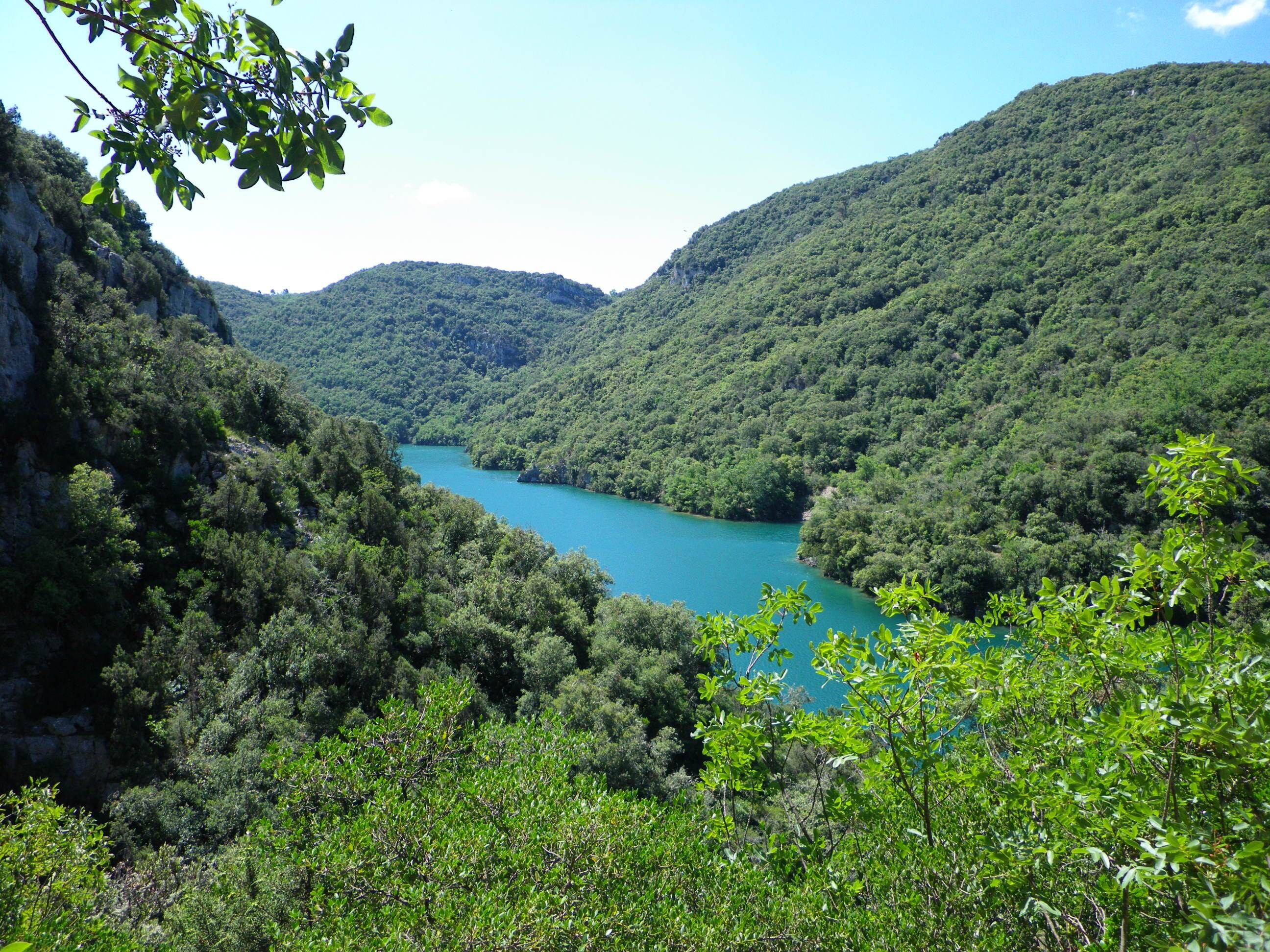 Flower Camping La Beaume