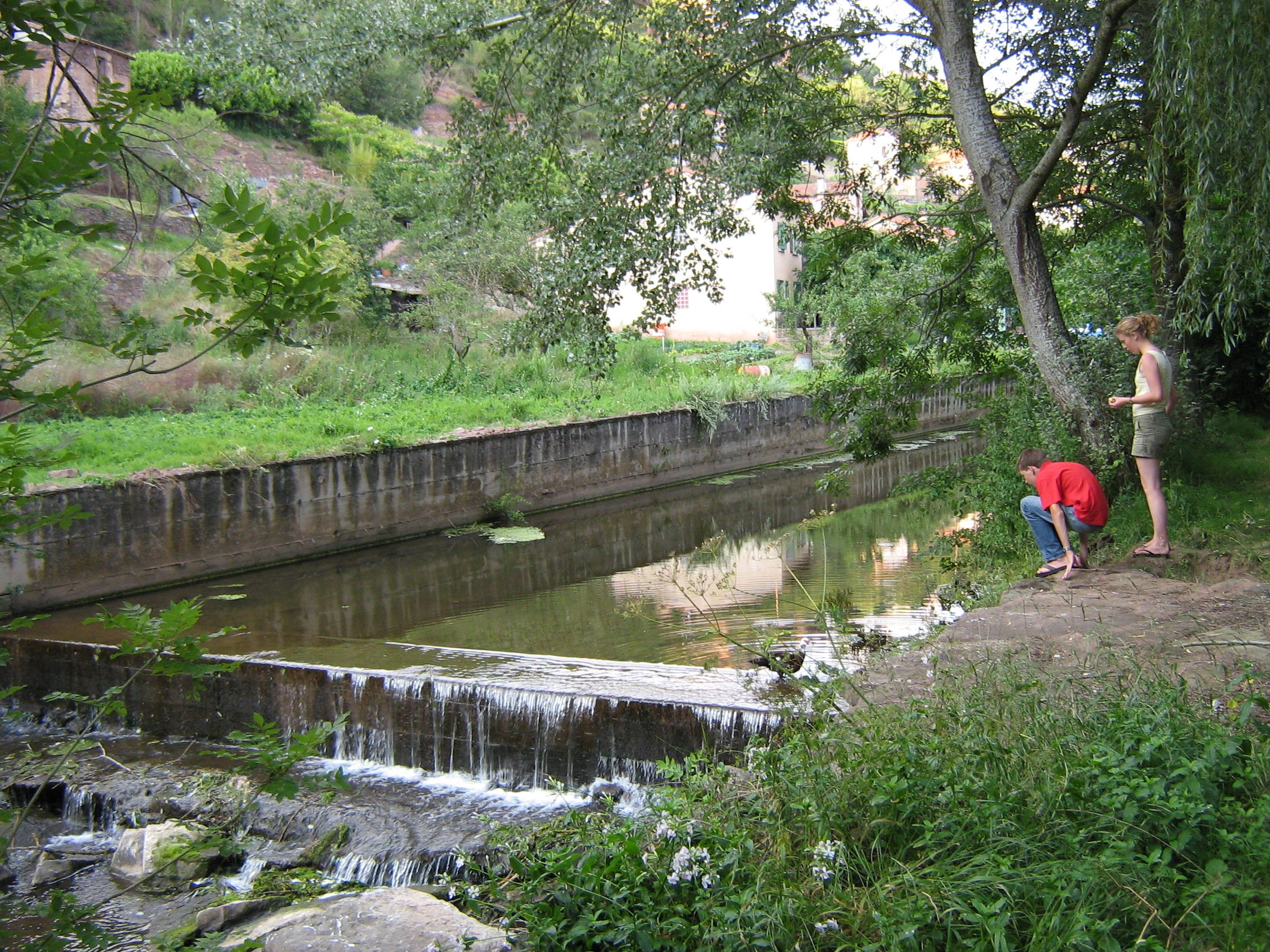 Camping Vert Lavande