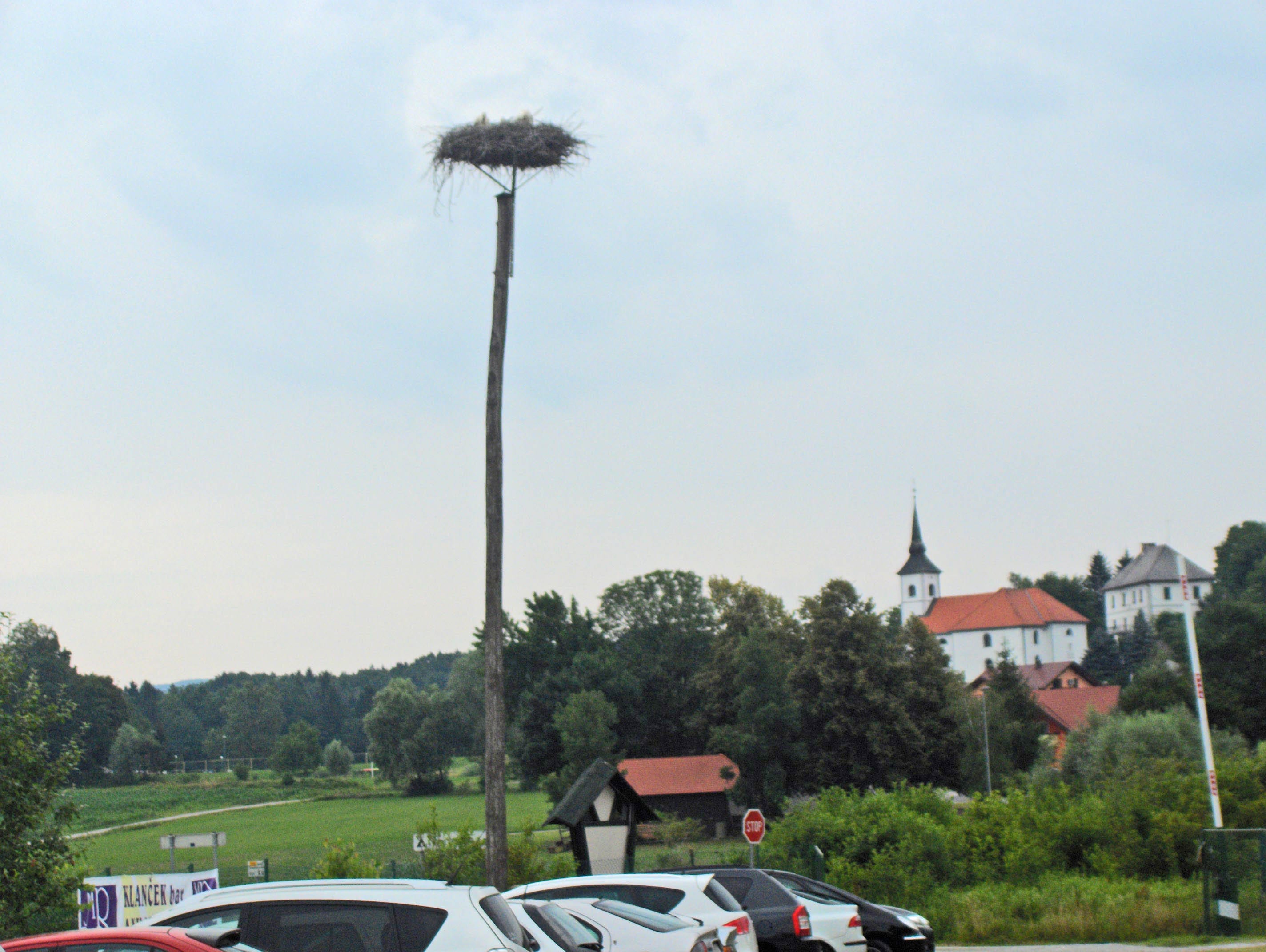 Camping Bela krajina - river Kolpa