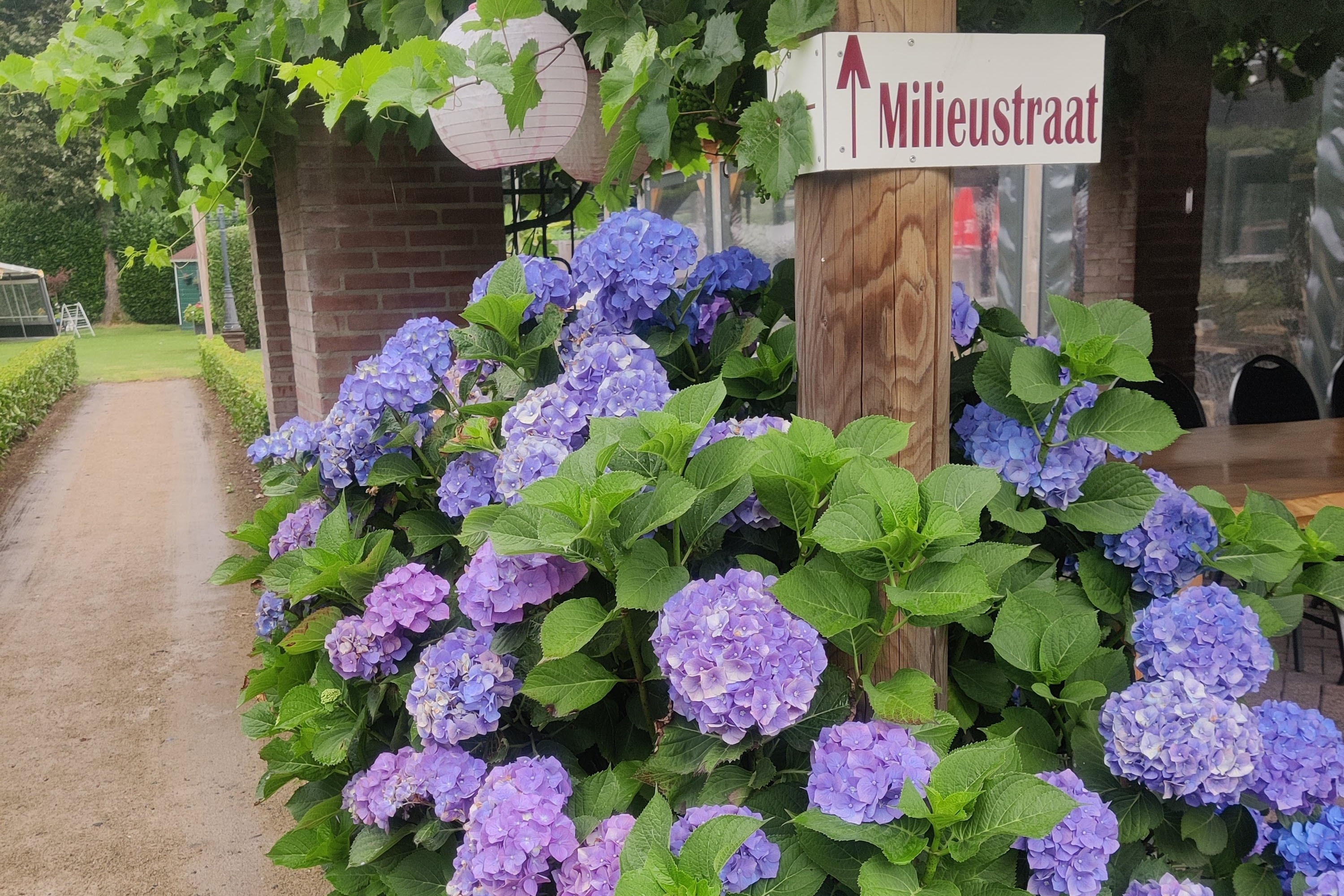 Camping De Kasteelse Bossen