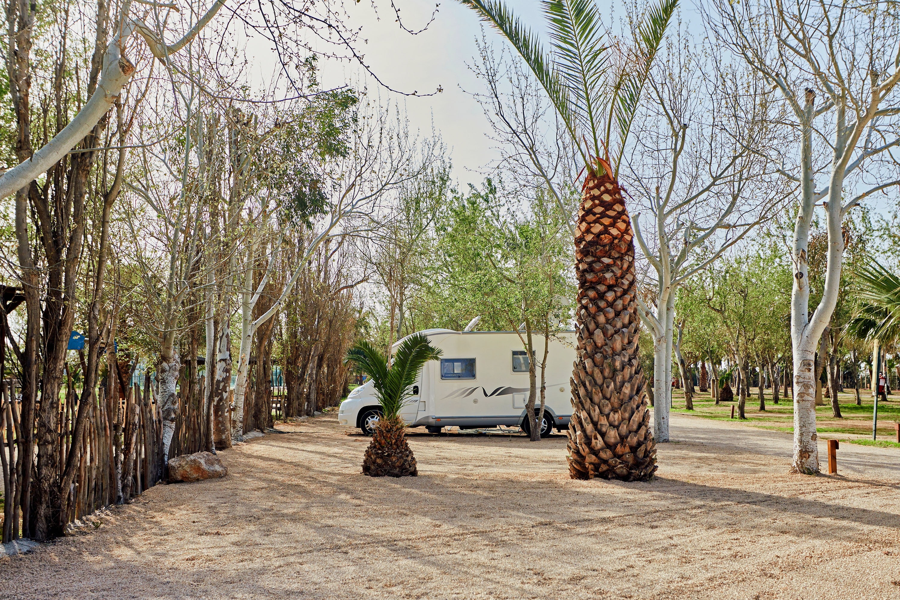 TAIGA Delta de l'Ebre