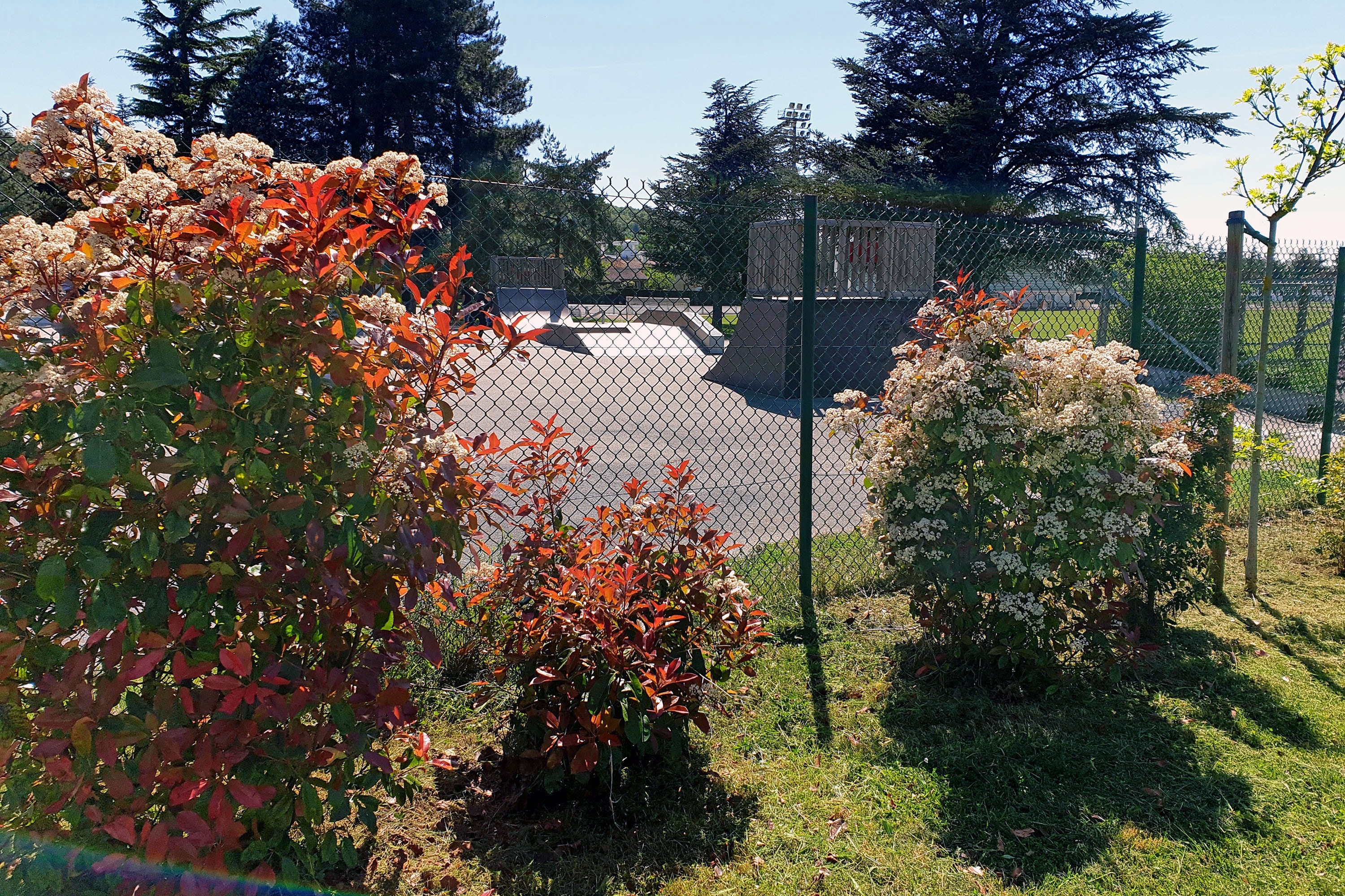 Camping Le Moulin du Roy