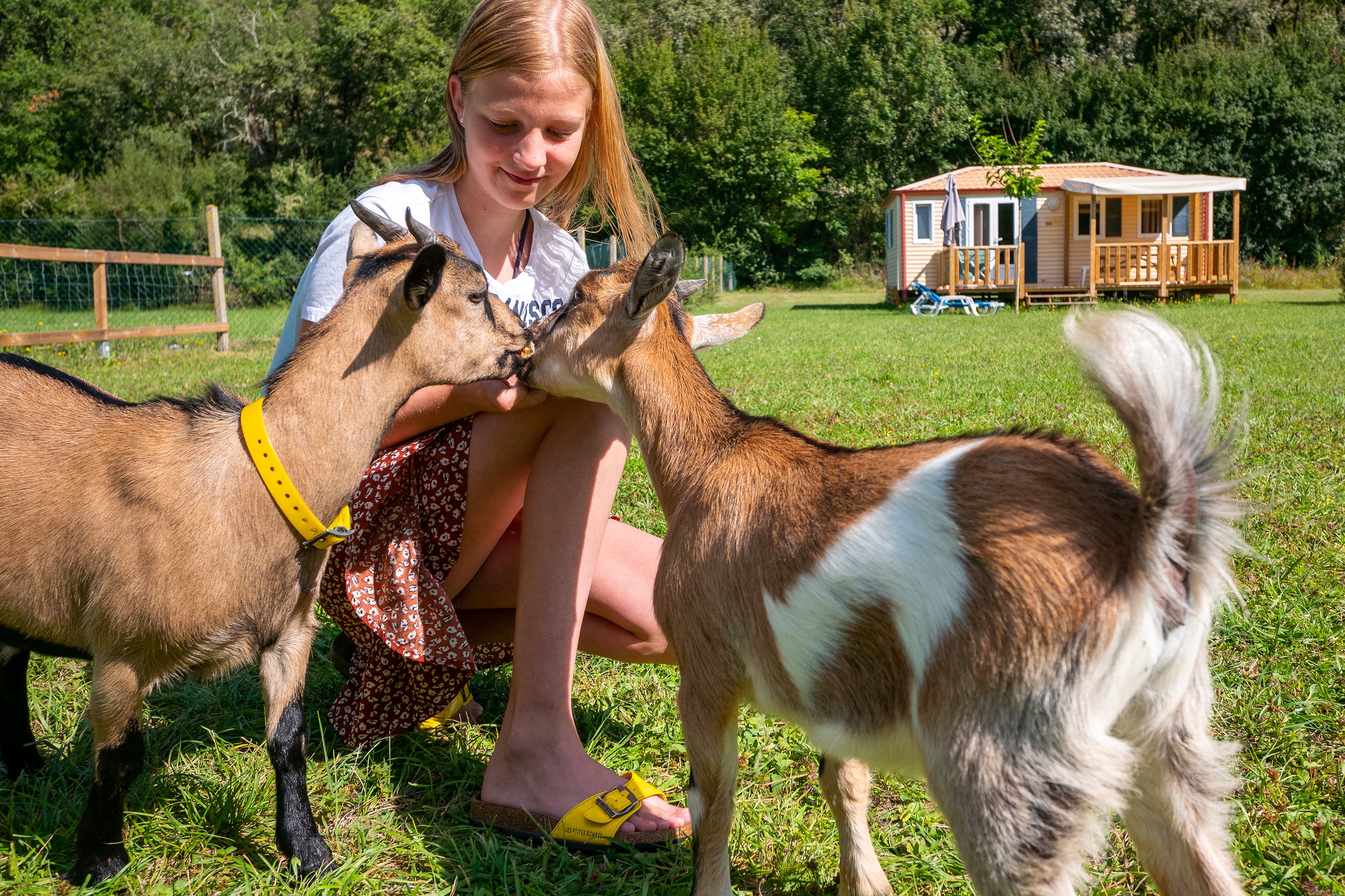 Camping Le Moulin du Bel-Air