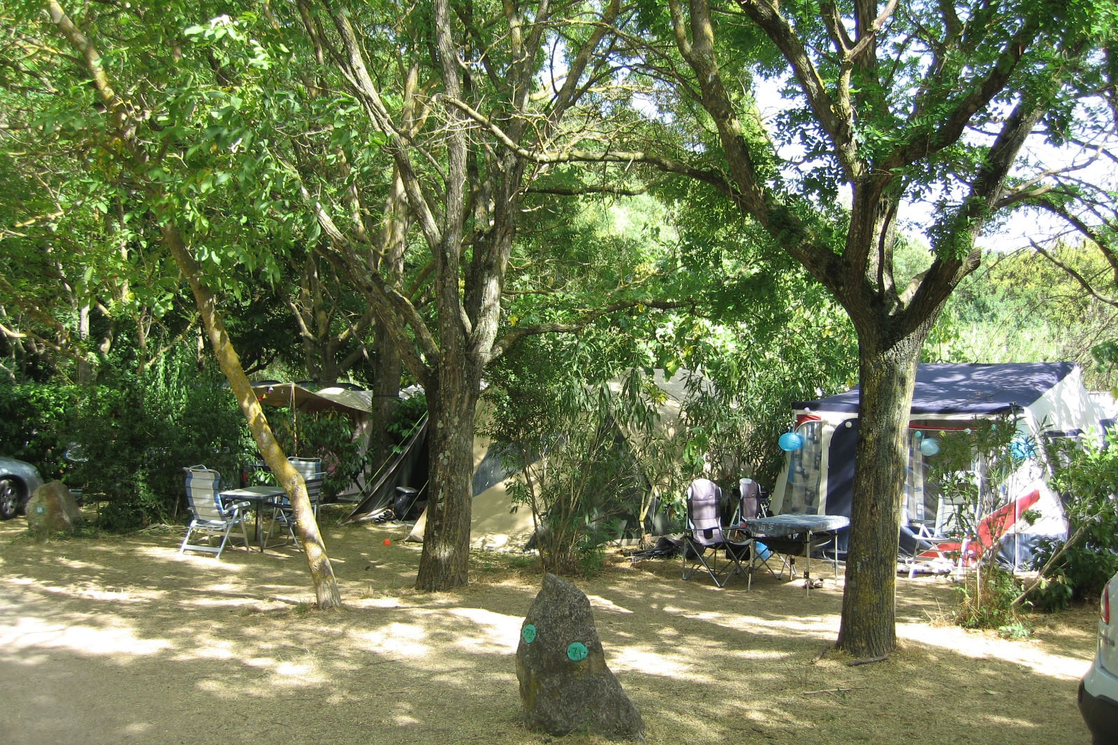 Flower Camping Les Tomasses