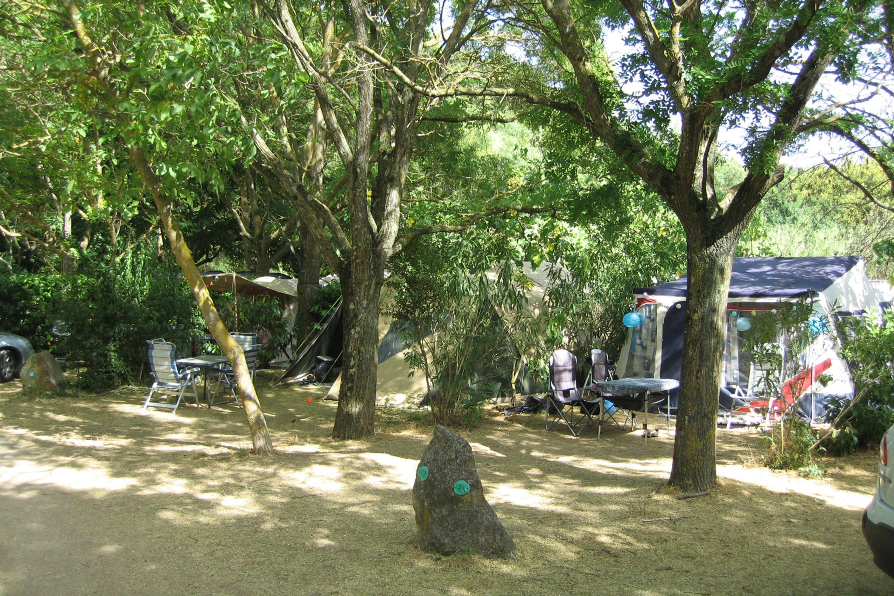 Flower Camping Les Tomasses