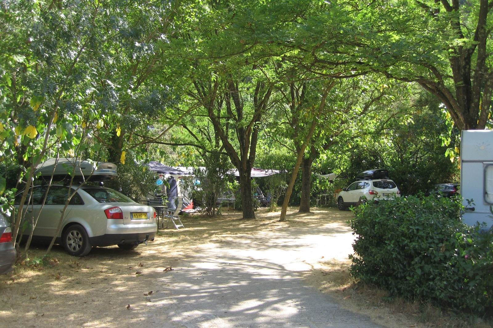 Flower Camping Les Tomasses