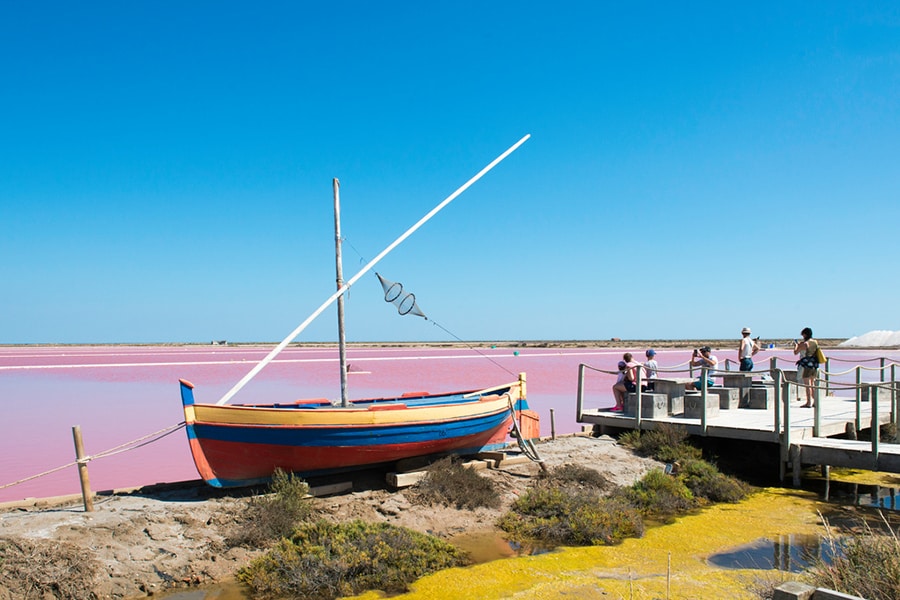 Camping Paradis Barberousse