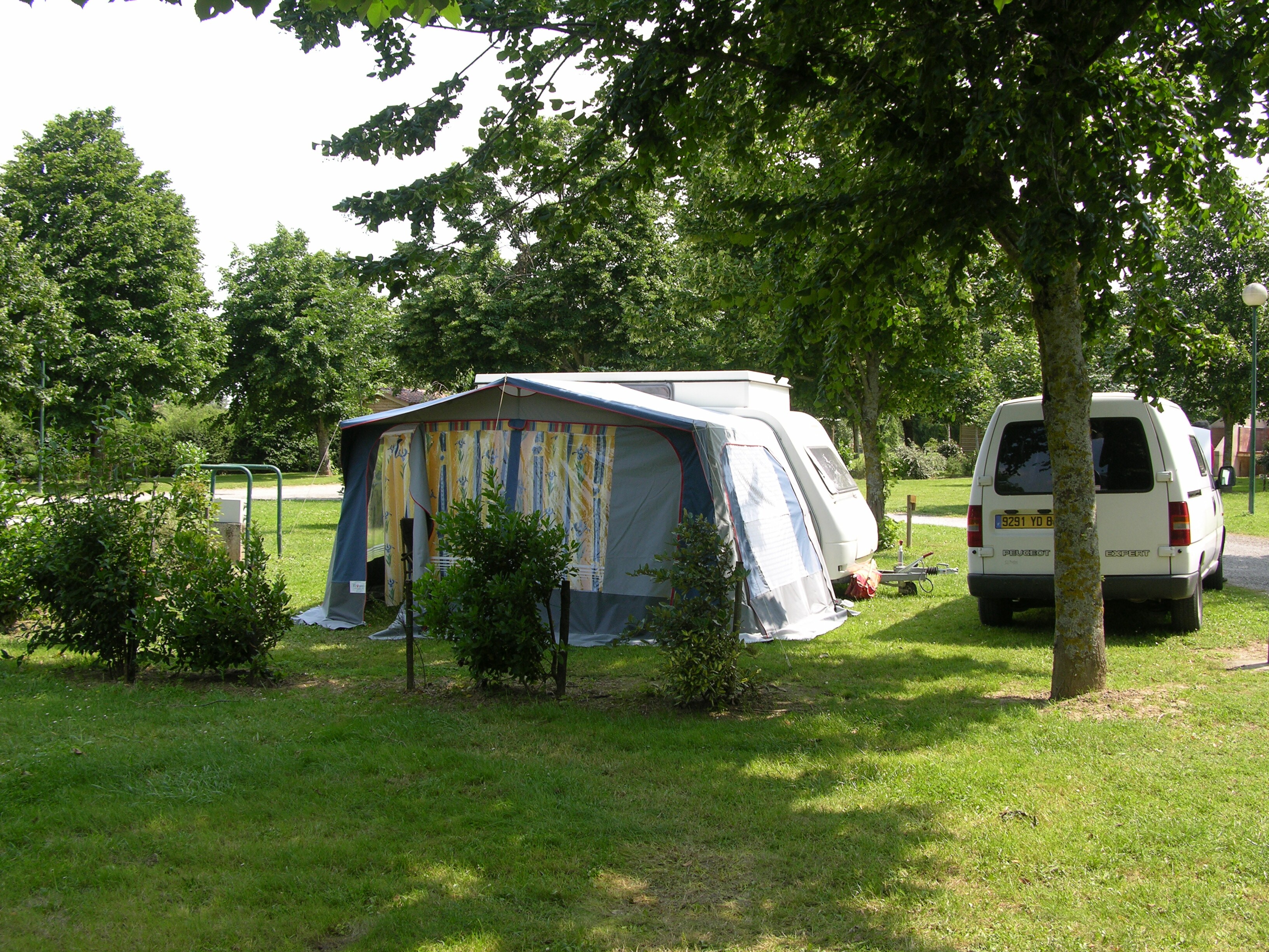 Flower Camping St. Martin