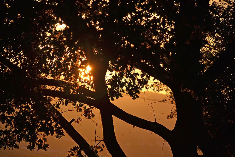 Camping Les Oliviers