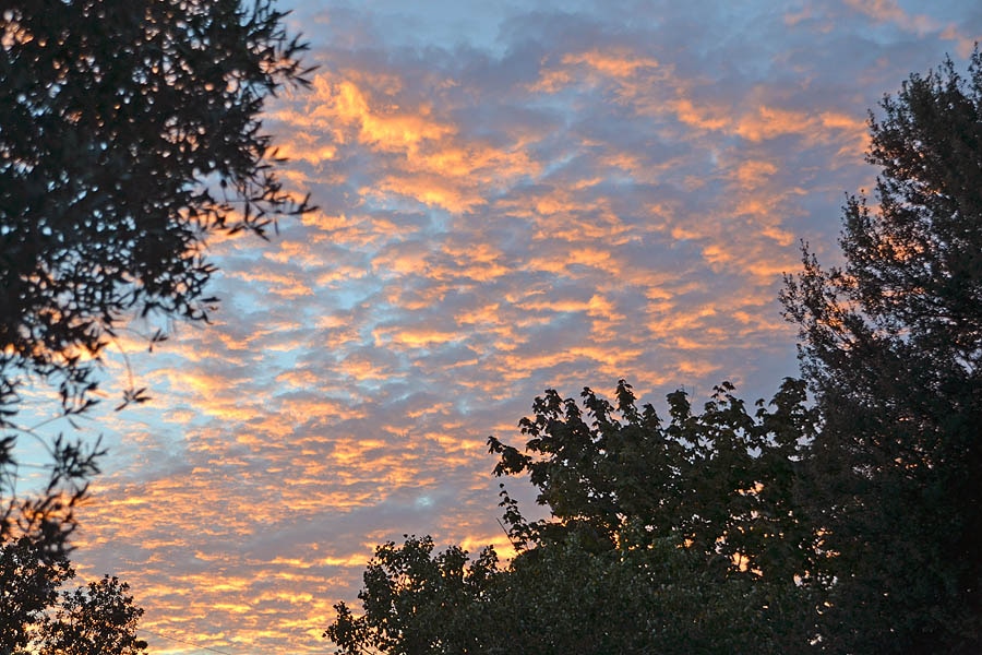 Camping Les Oliviers