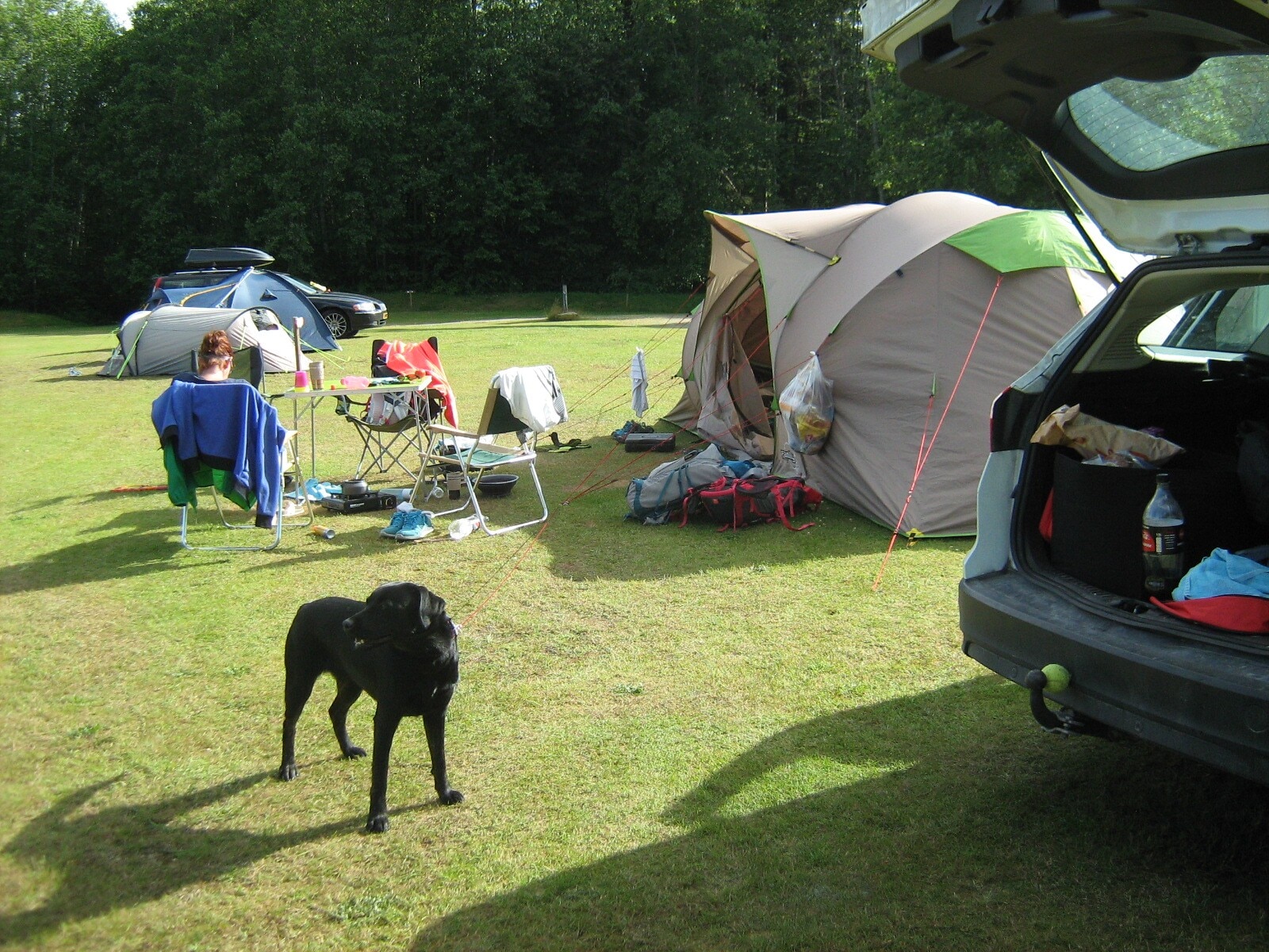Alevi Camping