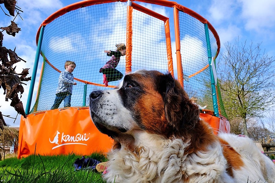 Camping De la Ferme de Croas-Men