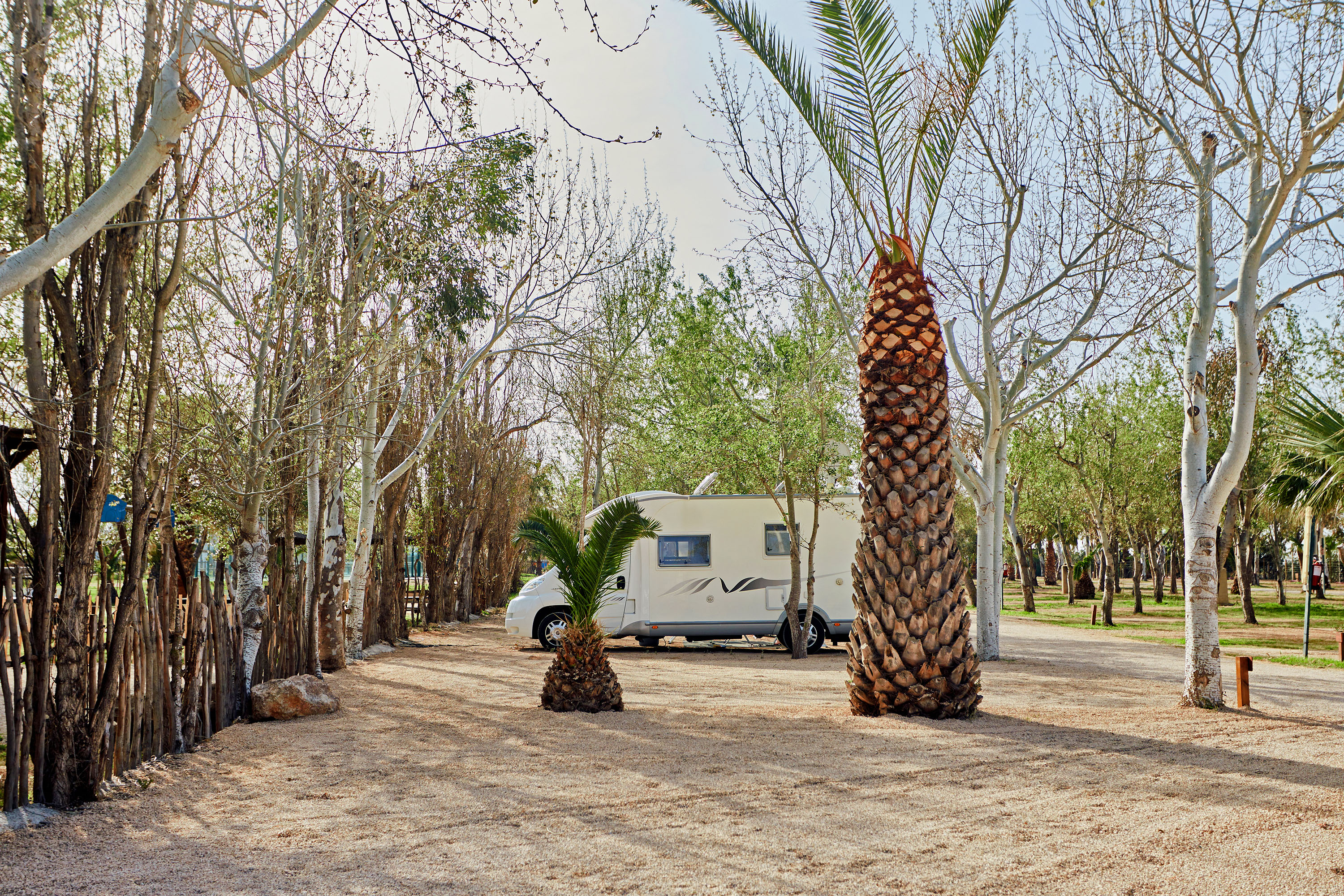 TAIGA Delta de l'Ebre