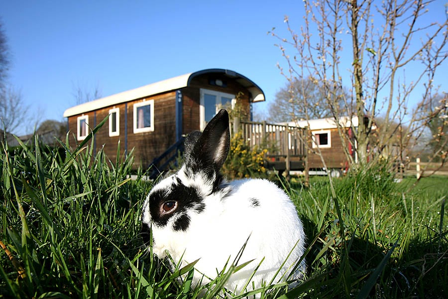 Camping De la Ferme de Croas-Men