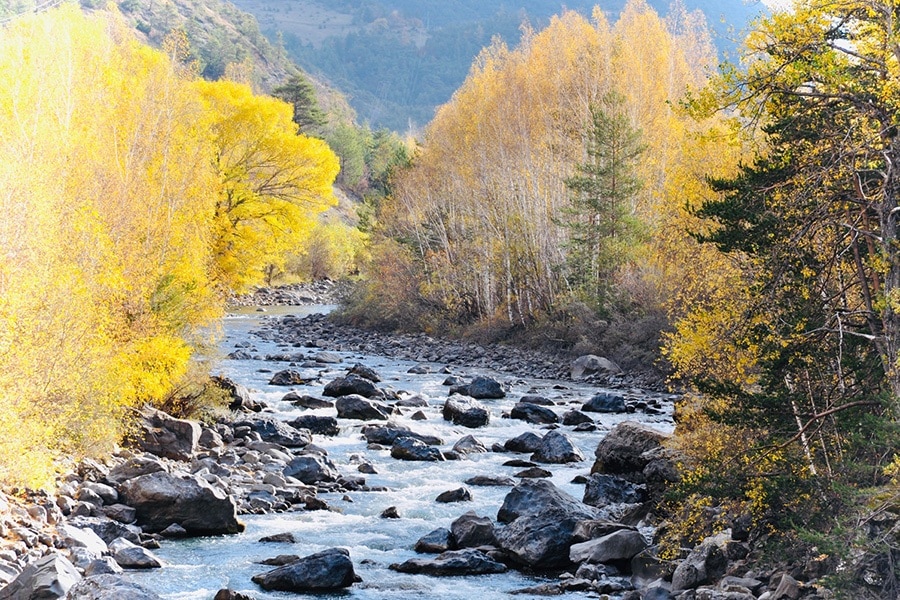 Camping River