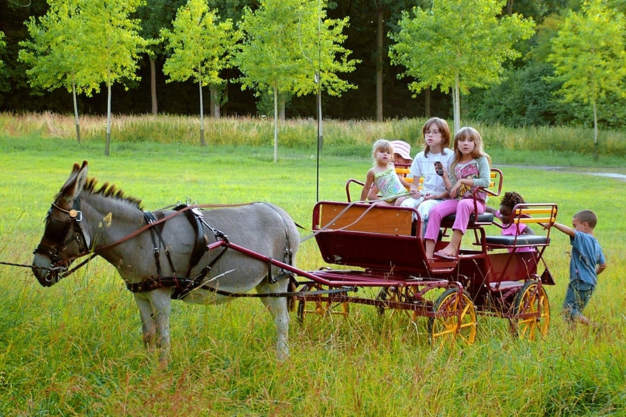 Camping de la Trye