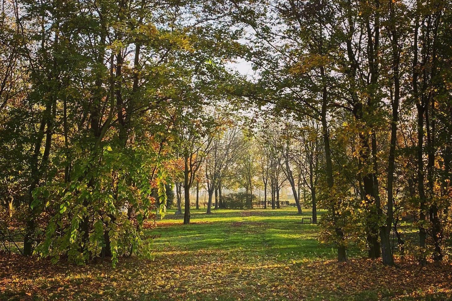 Camping Groot Antink