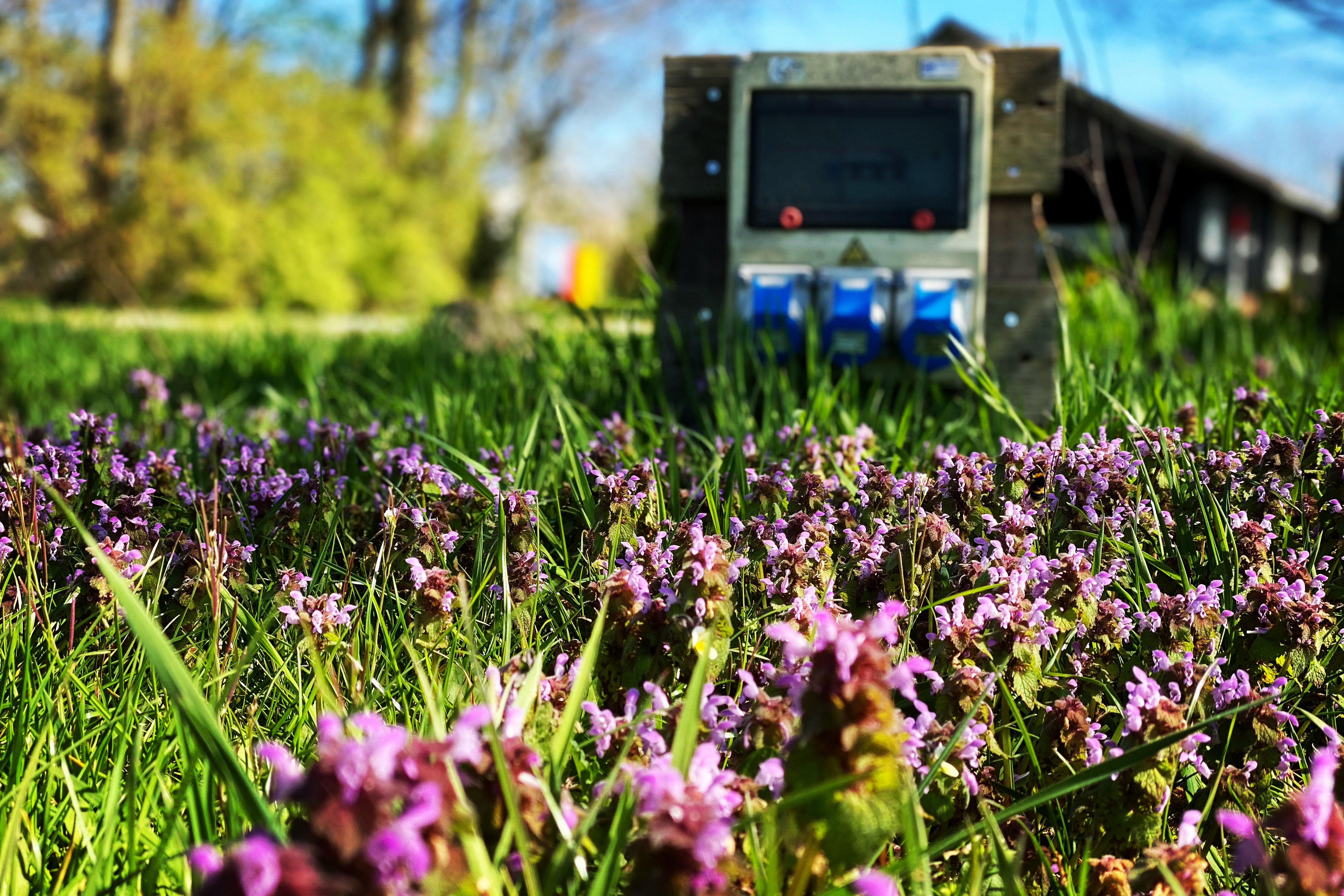 Camping Groot Antink