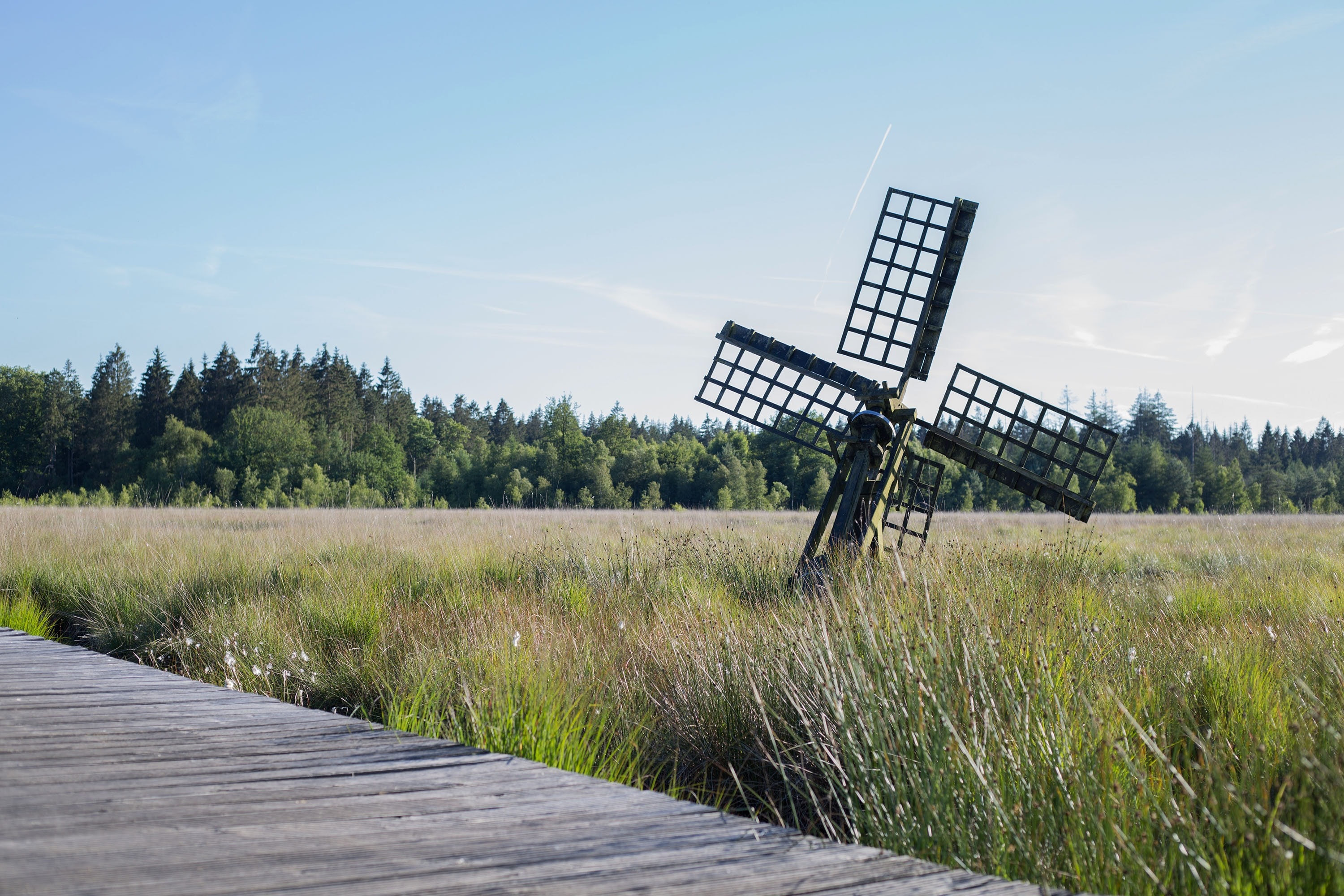 Camping Roeloomskamp