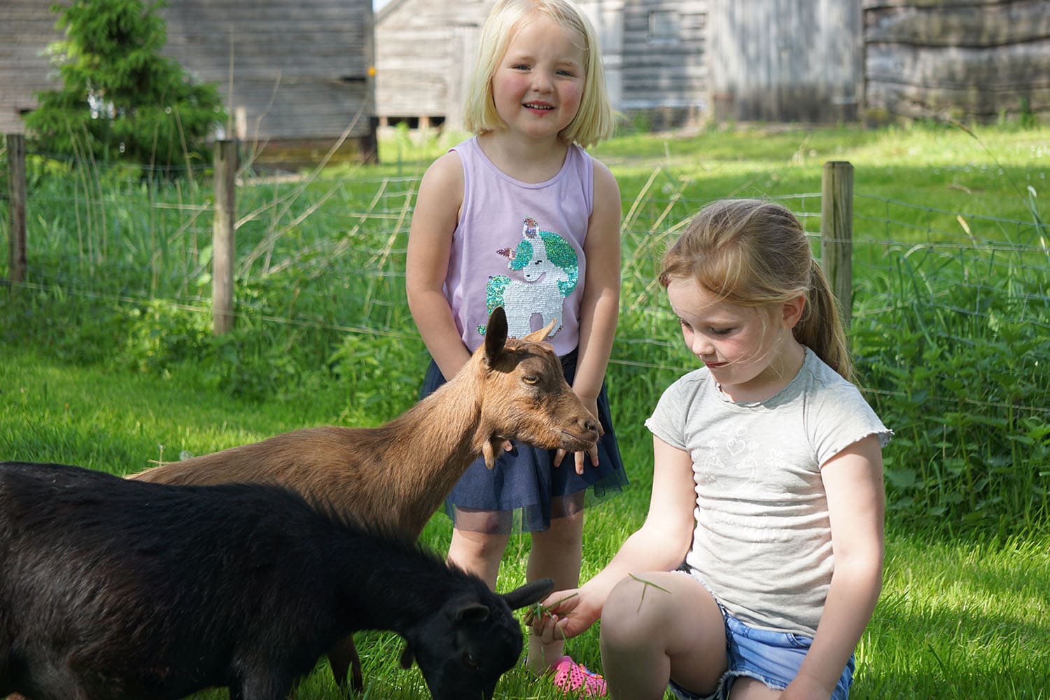 Vakantiepark De Toffe Peer