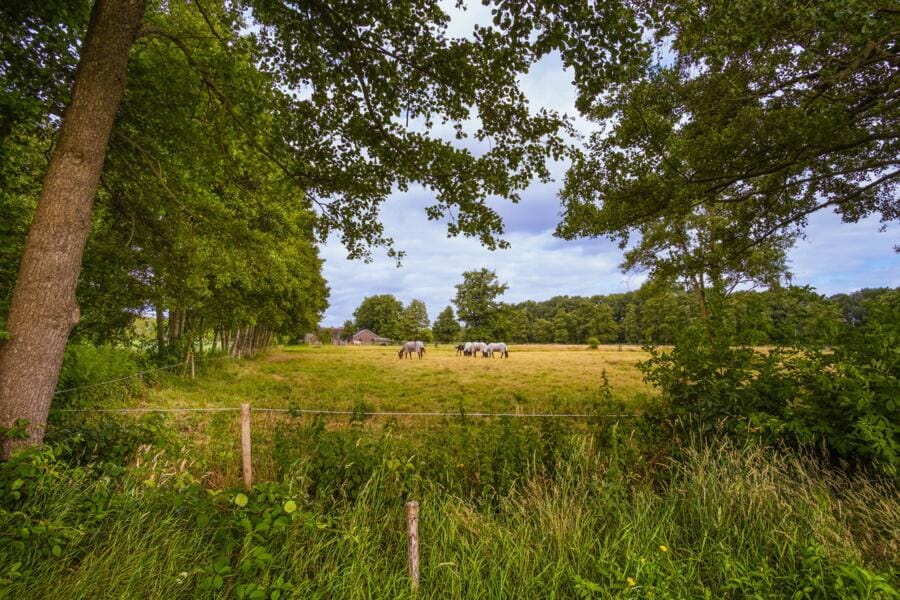 Museumboerderij Mariahoeve