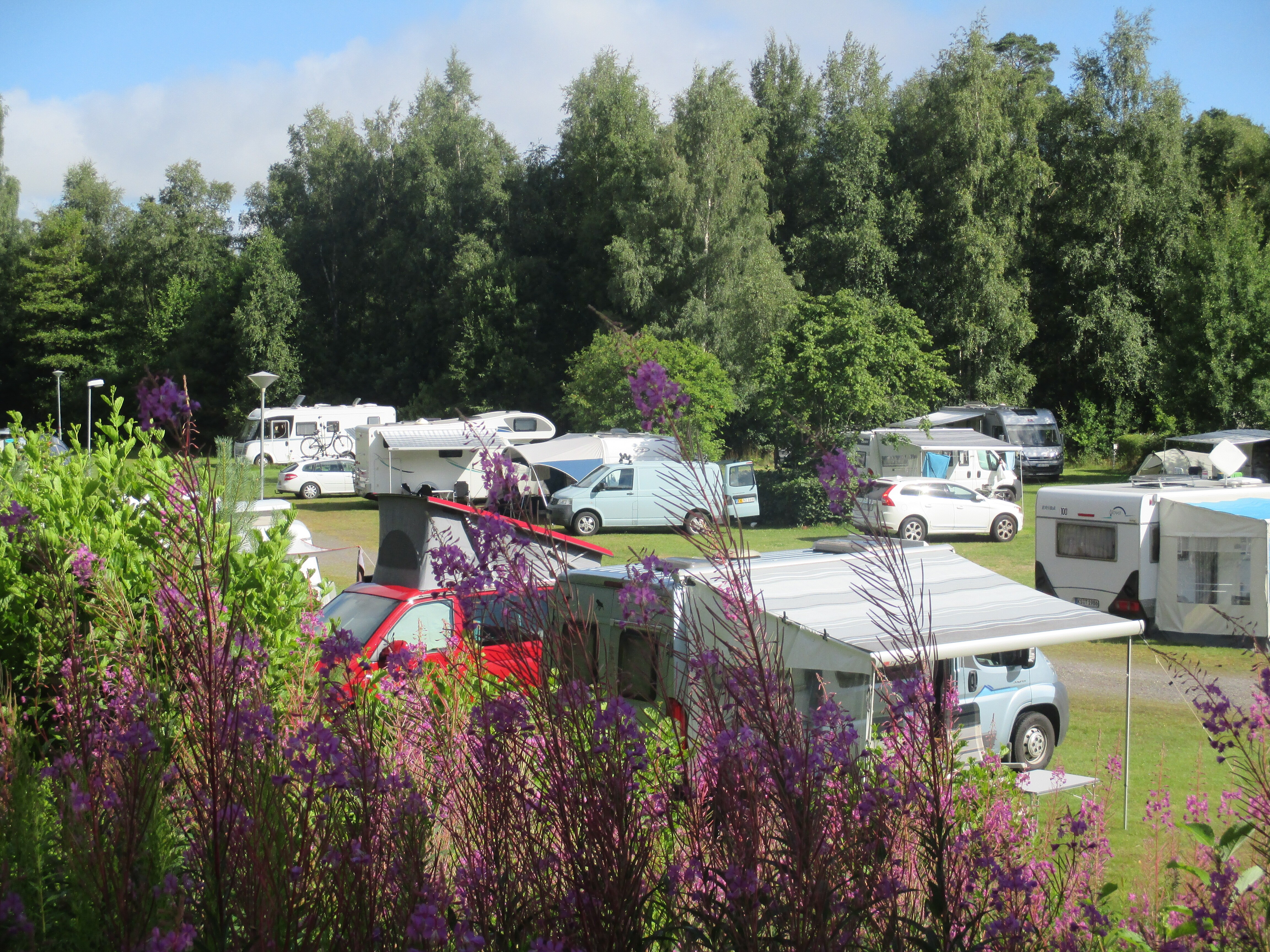 Torne Camping & Fiskecamp