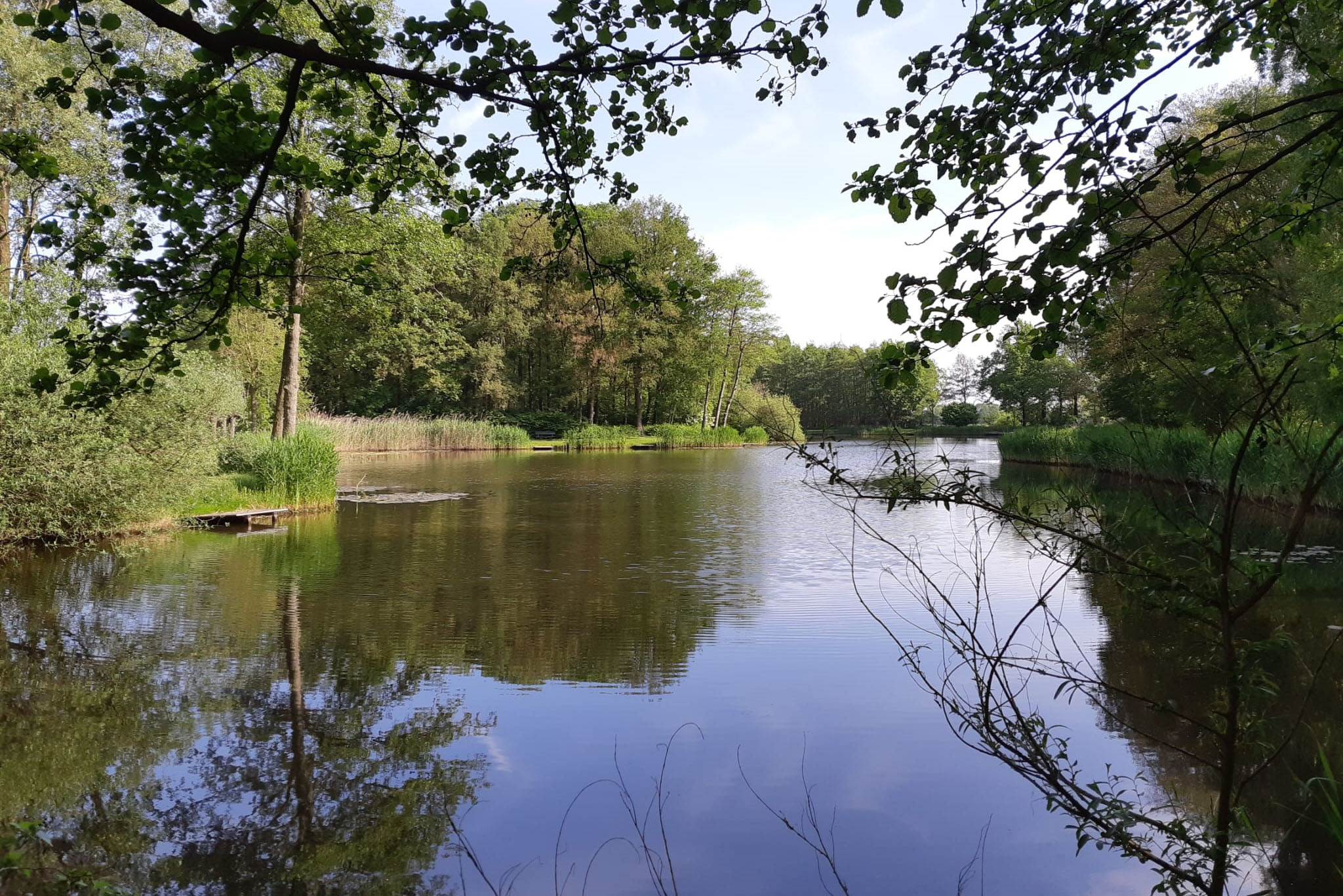 Camping Archery Farm