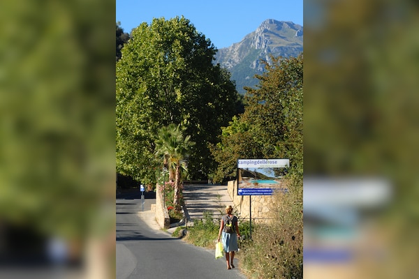 Camping Delle Rose